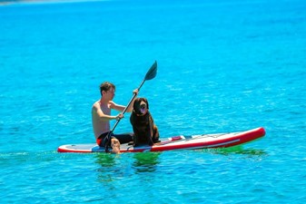 Pag kao nezaboravna destinacija za vaš odmor sa psima