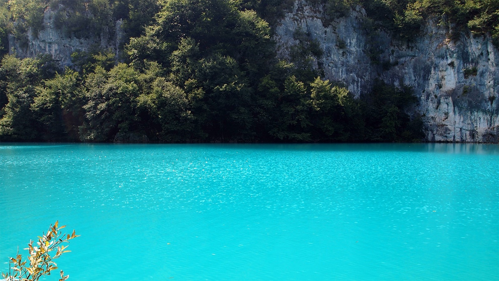 Горы алтая мультинские озера. Природа озеро. Озеро грин лейк гавайи. Озеро морейн в канаде. Озеро морейн.